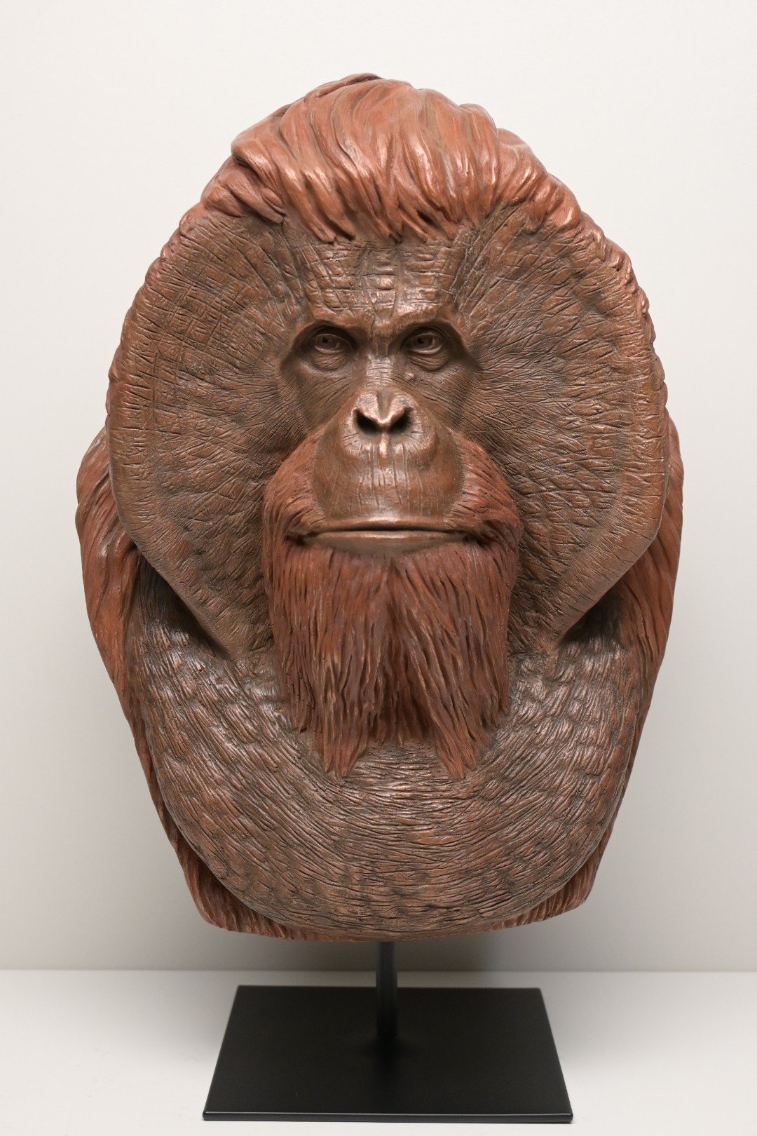Orang-outan sage